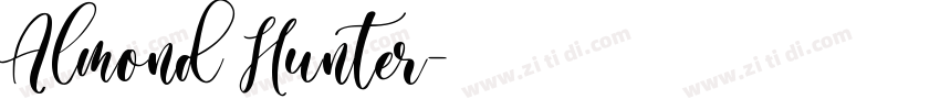 Almond Hunter字体转换